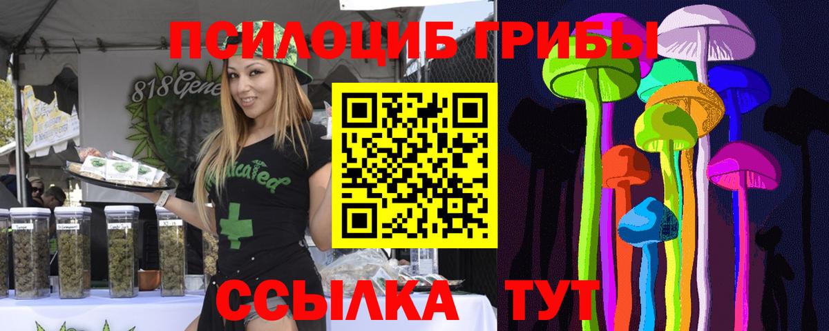 Галлюциногенные грибы Psilocybine cubensis  Вход с VPN  Хасавюрт 